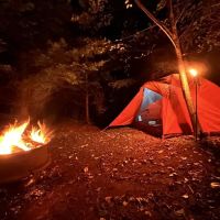 Misty Willow's Farm and Camp ico