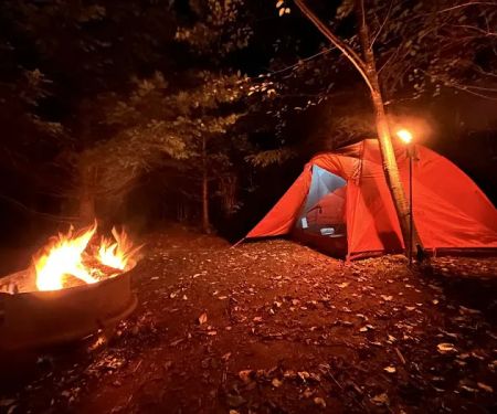 Misty Willow's Farm and Camp