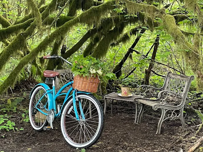 Misty Willow's Farm and Camp Picture 6