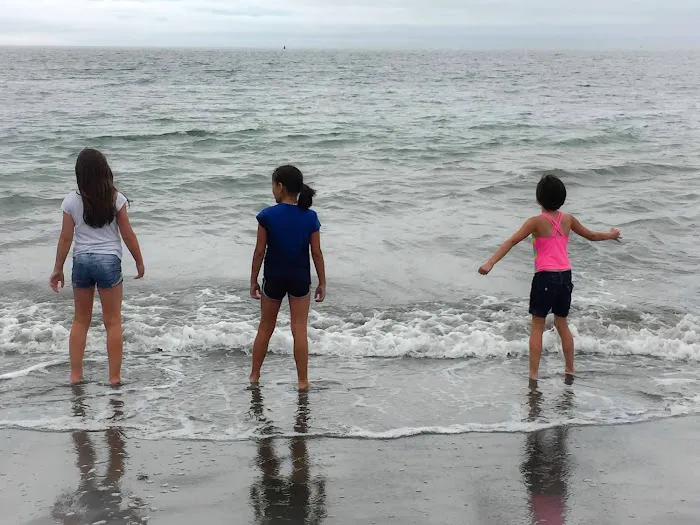 Misty Willow's Farm and Camp Picture 9