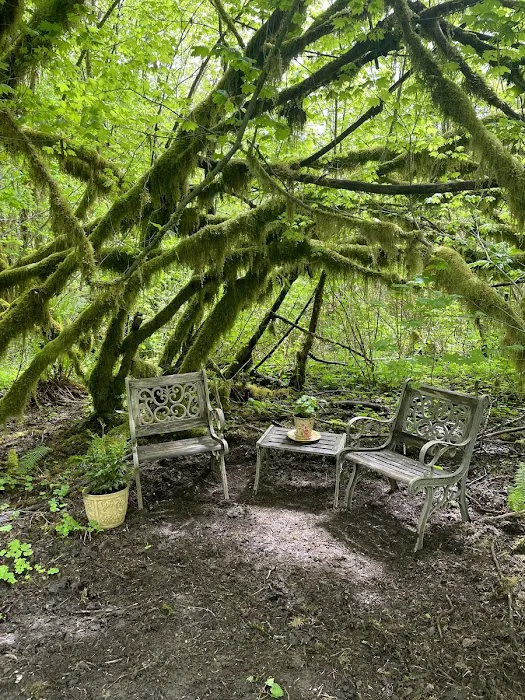 Misty Willow's Farm and Camp Picture 7