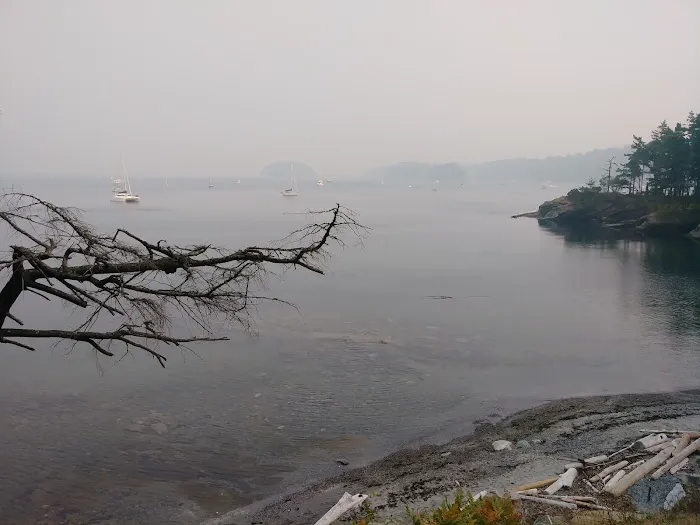 Echo Bay Campground Picture 4
