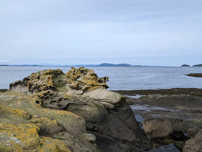 Echo Bay Campground Picture 6