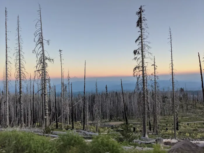 Cold Springs Campground Picture 1