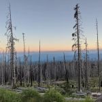 Cold Springs Campground