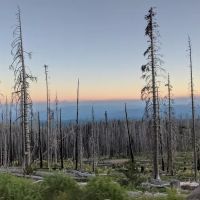 Cold Springs Campground ico