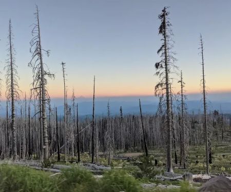 Cold Springs Campground