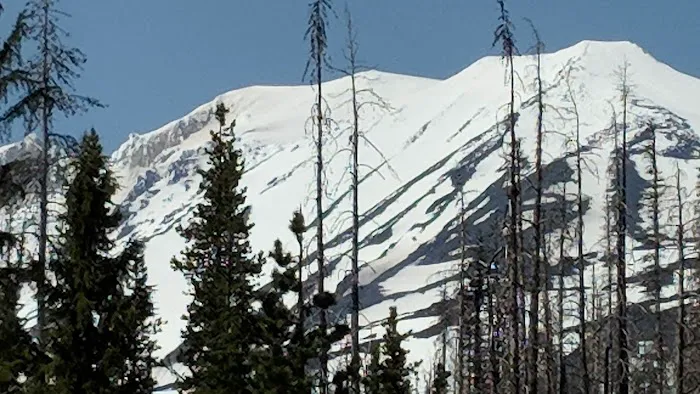 Cold Springs Campground Picture 4