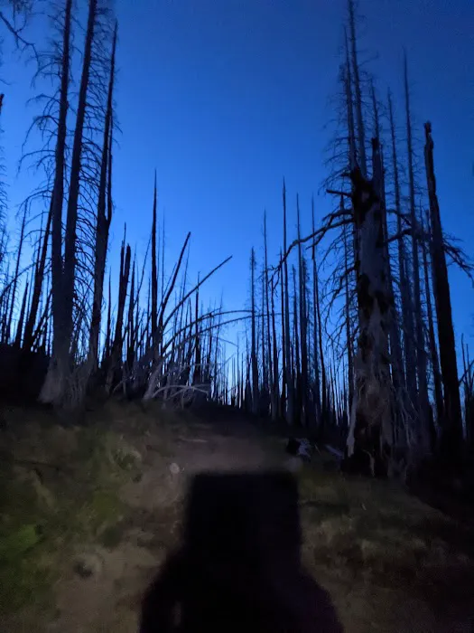 Cold Springs Campground Picture 6