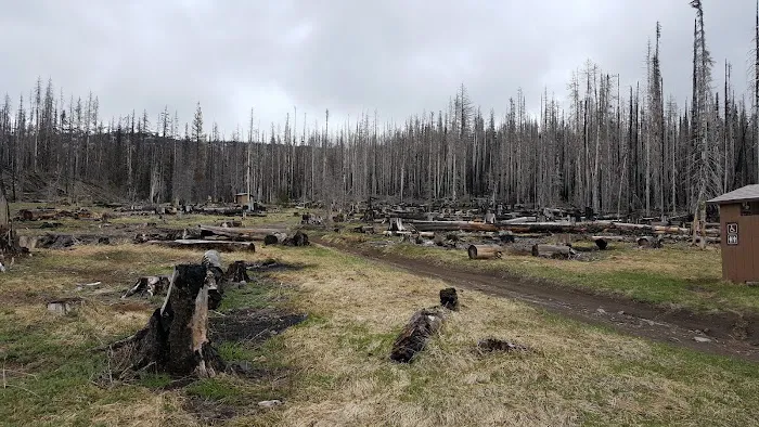 Morrison Creek Campground Picture 3