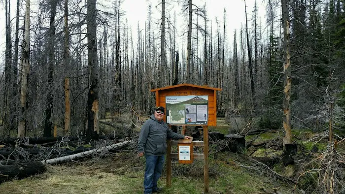 Morrison Creek Campground Picture 8