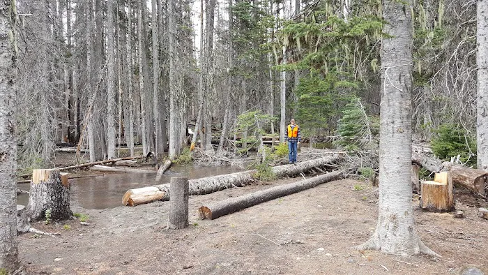 Morrison Creek Campground Picture 9