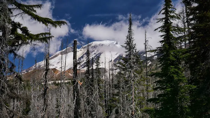 Morrison Creek Campground Picture 5