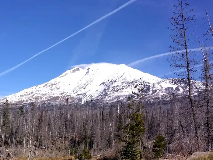 Morrison Creek Campground Picture 6