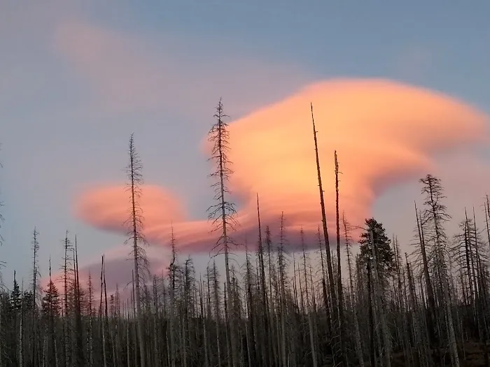 Morrison Creek Campground Picture 4