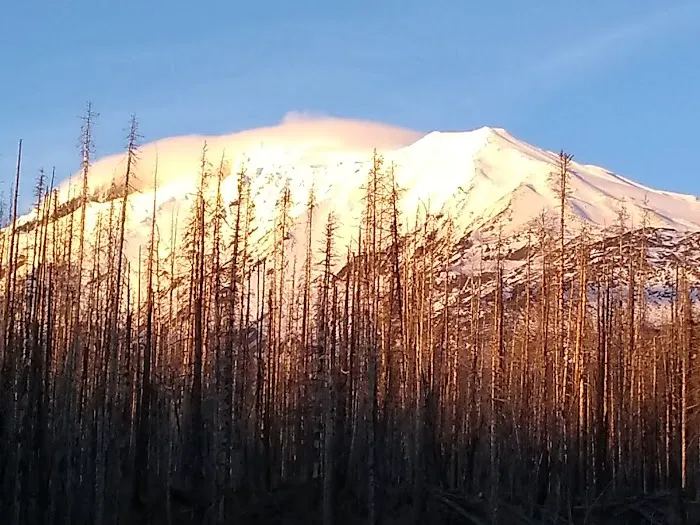 Morrison Creek Campground Picture 10