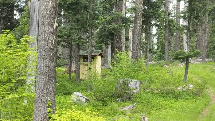Campground: Wicky Shelter Picture 2