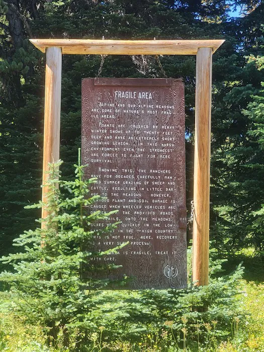 Clover Flats Campground Picture 2