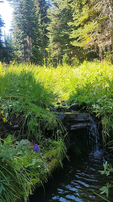 Clover Flats Campground Picture 9