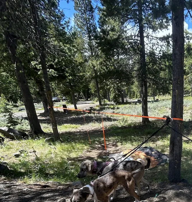 Clover Flats Campground Picture 8