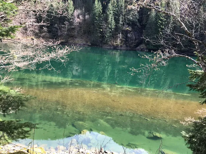 Devil's Creek Campground Picture 5