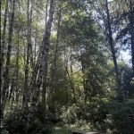 shangri la push campground