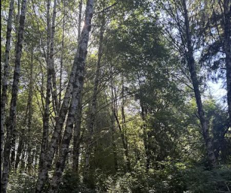 shangri la push campground