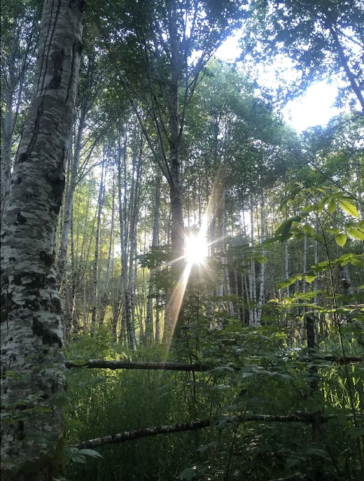 shangri la push campground Picture 6