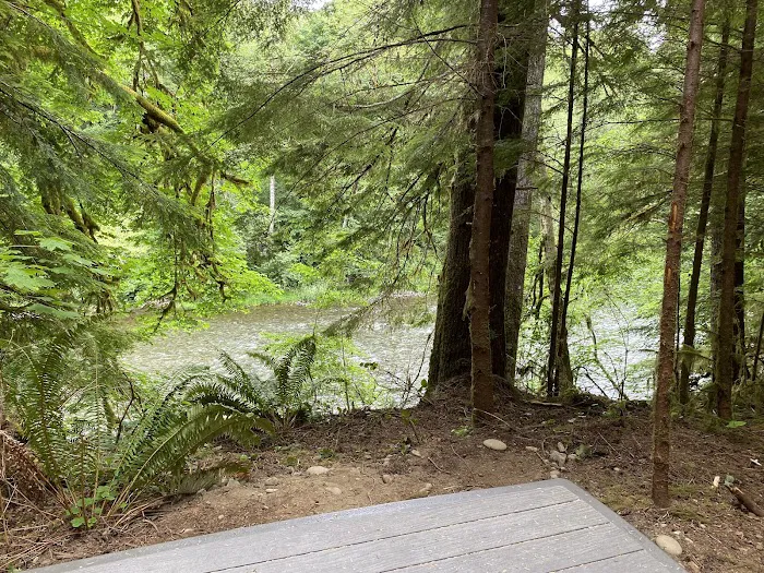 Dawleys Sol Duc River Campground Picture 1