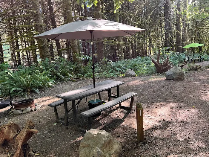 Dawleys Sol Duc River Campground Picture 3