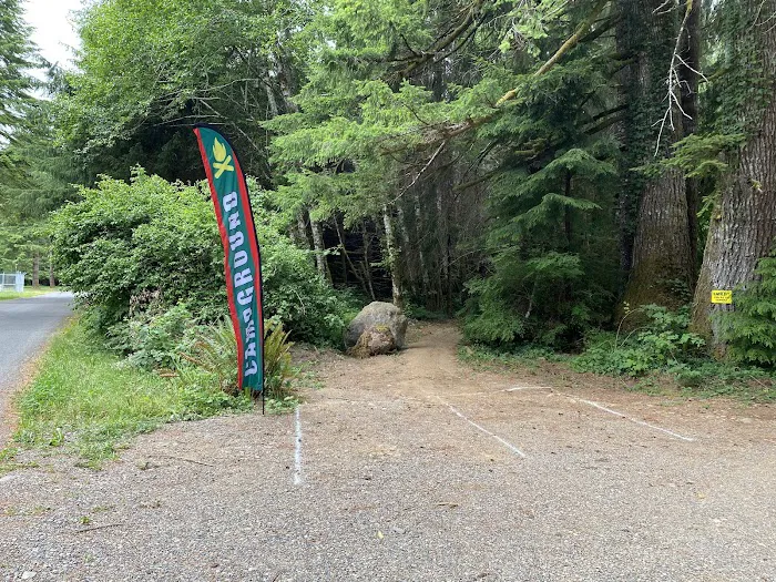 Dawleys Sol Duc River Campground Picture 9