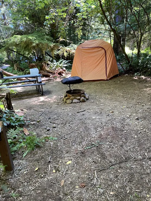 Dawleys Sol Duc River Campground Picture 10