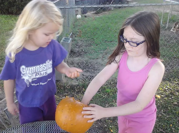 King Arthur Manor Picture 9