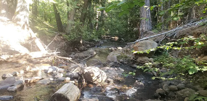 Stout Campground Picture 1