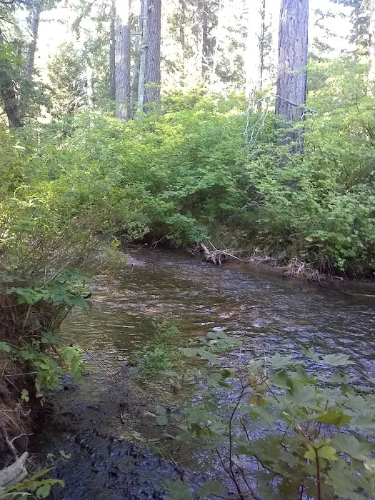 Blue Jay Campground Picture 1