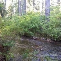 Blue Jay Campground ico