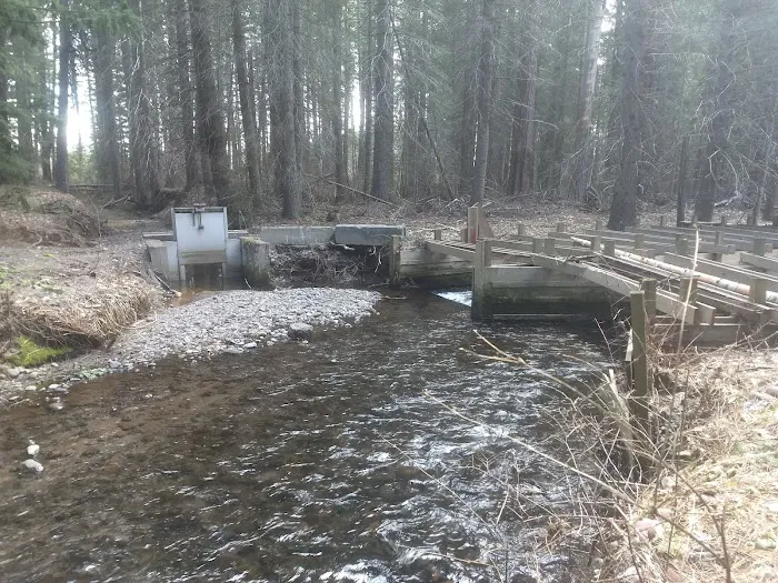 Blue Jay Campground Picture 6