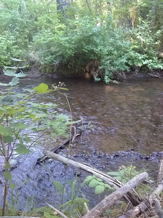 Blue Jay Campground Picture 9