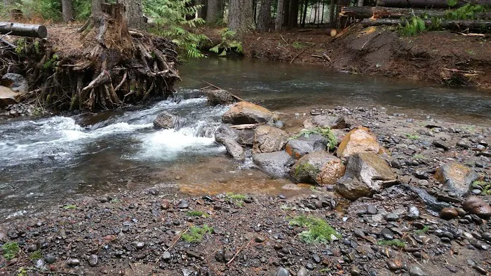 Blue Jay Campground Picture 4