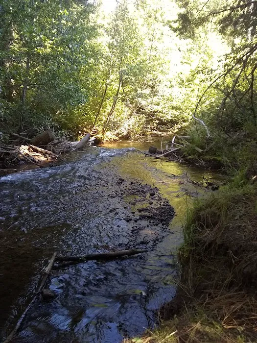 Blue Jay Campground Picture 7