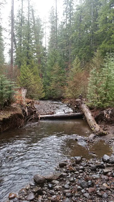 Blue Jay Campground Picture 5