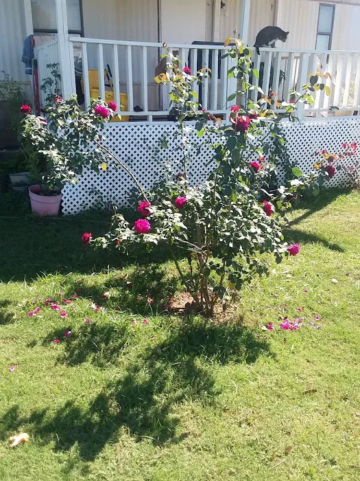 Lakewood Estates Picture 6