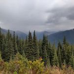 Desolation Campground