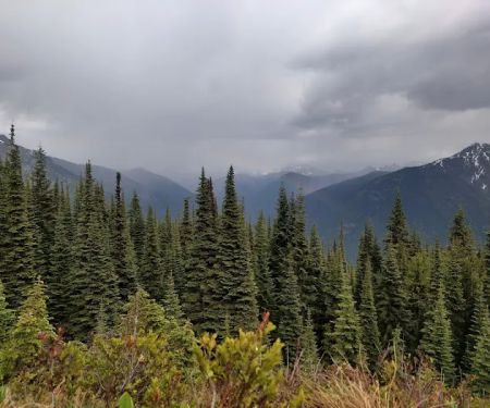 Desolation Campground