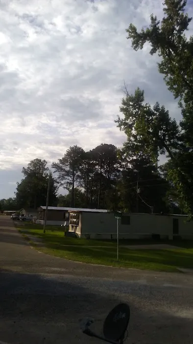 Pike Road Village Picture 7