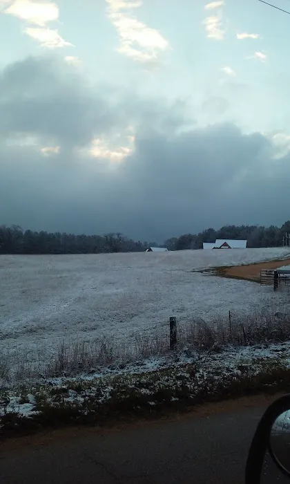 Pike Road Village Picture 4