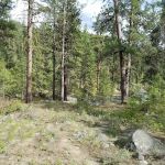 Falls Creek Campground