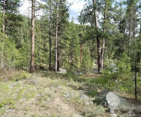 Falls Creek Campground