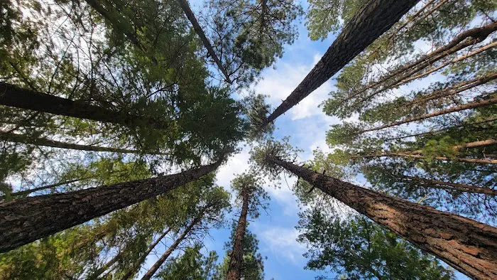 Falls Creek Campground Picture 5