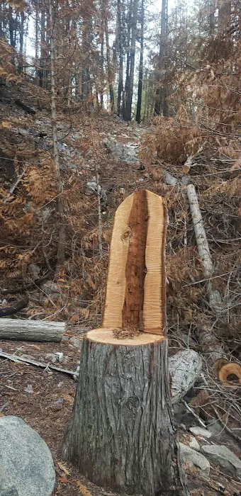 Falls Creek Campground Picture 9